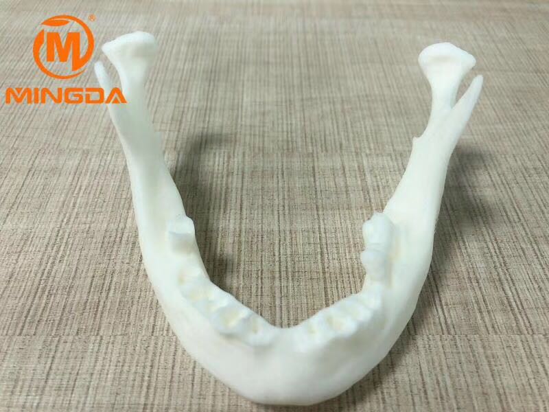 工業(yè)級3D打印機在牙科行業(yè)的應用(圖2) 工業(yè)級3D打印機在牙科行業(yè)的應用(圖2)